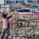 소라쉼터 | 울릉도 해안산책로 소라계단 철수네쉼터