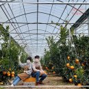 승연농장 이미지