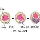 내로 이미지