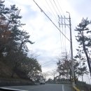 남해가볼만한곳 TIP !! 남해이색체험장- &#39;남해약쑥 후기,위치정보&#39;