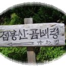 진동너와촌해마루펜션 이미지