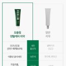 동양덴탈 네이버블로그