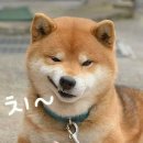 토끼와거북이 이미지