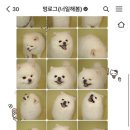 너일해봄 네이버블로그