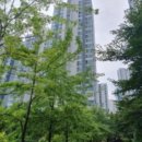 반송동102 이미지