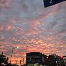 주포주유소 이미지