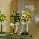 예본안과의원 이미지