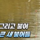 영인 낚시터 이미지