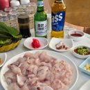 사천상회 | 삼천포용궁수산시장 줄돔4만원에 서비스까지 정읍상회 내돈내산 추천 후기