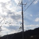 육신사(신) 이미지