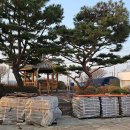 두정2리마을회관 네이버블로그