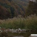 비룡민박 이미지