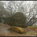 금산1954