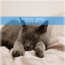 신비모터스 이미지