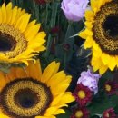 동수원세무서 3층 이미지