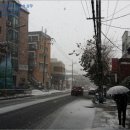 용산-423 네이버블로그