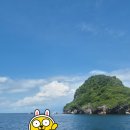 환도상어를 찾아 떠난 말라파스쿠아 여행 후기 (줄 글) 이미지