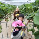 명호초등학교,병설유치원 이미지