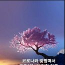 (유)아산렌트카 이미지