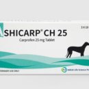 전대동물약국 이미지