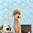 꽃단장하시개 이미지