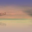 독사랑동물병원 이미지