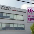 대한카독크 이미지