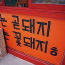 꽃돼지문구