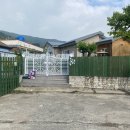 숲속댕토리애견유치원 이미지