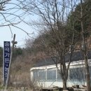 제주도토종흙돼지 이미지