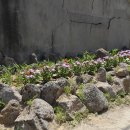 화지6리 이미지