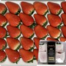 희망농장 이미지