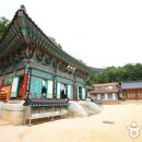 심원사 Daum카페