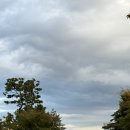 바디 디자인 이미지