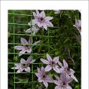 가람농원 이미지