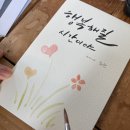 수채캘리그라피 오전반 이미지