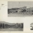 포천중학교 Daum카페