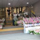 쥬씨강남고속
