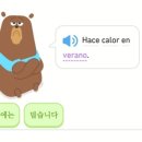 깔로르 이미지