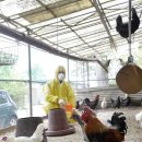 장부농장 이미지