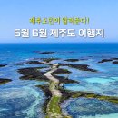 함덕 화산송이 펜션 | 5월 6월 제주도 여행 가볼만한곳 제주 여행지 추천 BEST5