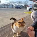 ☆강화도 여행☆ 강화도 반나절 여행 후기.. 아침식사맛집/ 대명항/초지진/ 강화풍물시장/ 고려궁터...