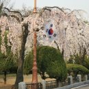 H8153 Daum카페