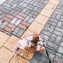 산남동물병원 이미지