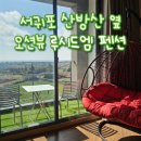 더드림 하우스 펜션 | 서귀포 산방산 근처, 루시드엠 펜션 (오션뷰, 복층, 무료조식)