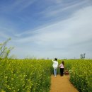 새만금꽃화원 이미지