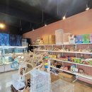 남구-037 | 울산 파충류샵 와우펫앤쥬 본점 귀여운 소동물까지