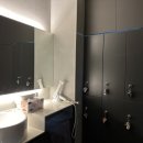 피티올로지 이미지