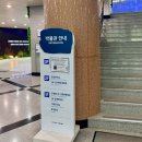 모산고인돌마을 | 전라남도 여행ㅣ고창 가볼만한곳 세계유산 고인돌 유적지 &amp; 박물관 방문팁