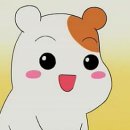 해쥬